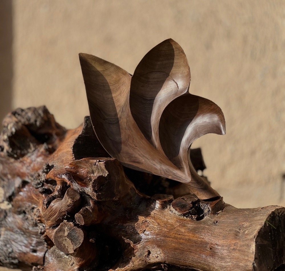 اردو خوری طرح برگ